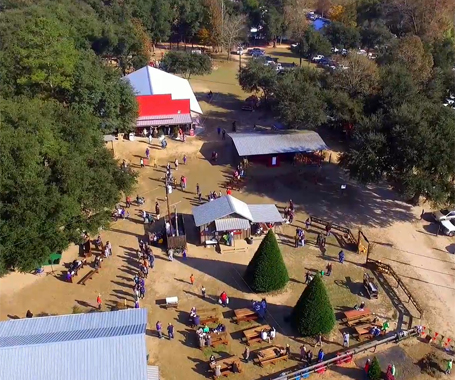 Grant Christmas Tree Farm