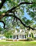 Beautiful homes in the Charpentier District of Lake Charles