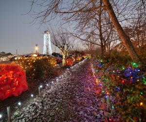 Logansport Christmas Festival