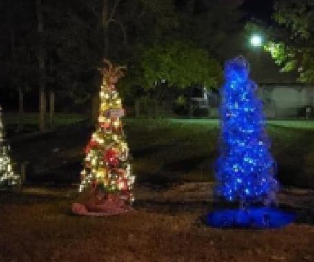 A Christmas Walk in the Park