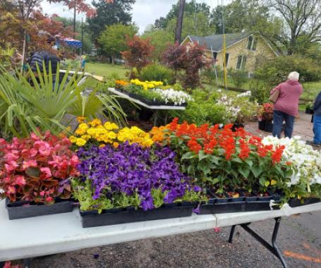 Grand Cane Spring Market