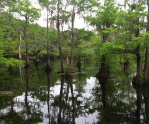 Allen Parish - Visit No Man's Land