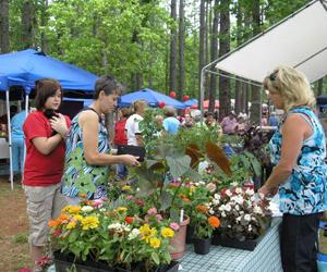 Sale on the Trail in No Man's Land