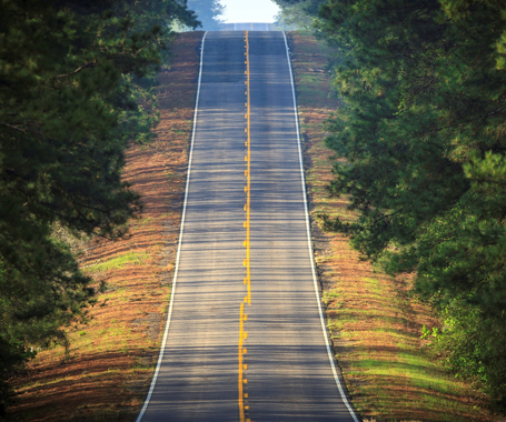 Toledo Bend Forest Scenic Byway